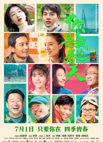 国产一区二区在线观看免费